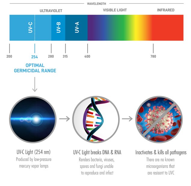UV-Light-Explained
